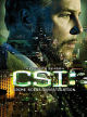CSI: Crime Scene Investigation: The Complete 8th Season