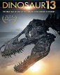 Dinosaur 13